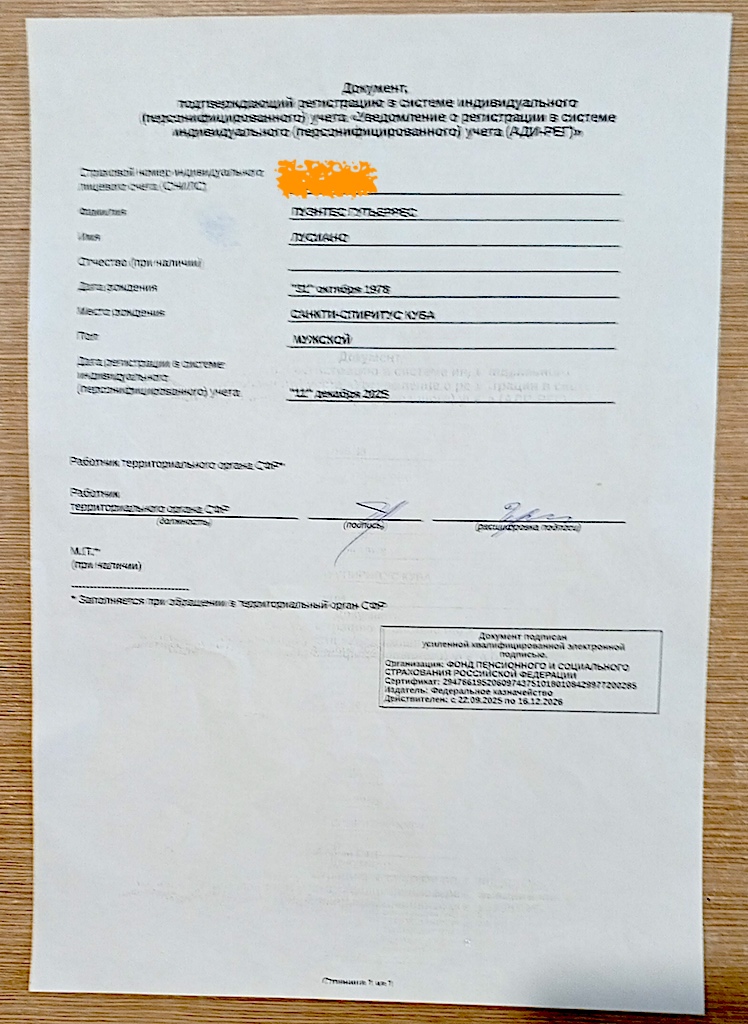 Documento SNILS Documentos Gosuslugi