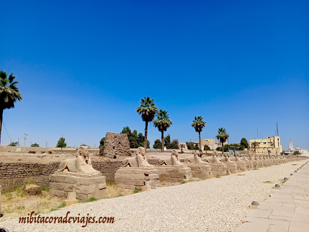 avenida de las esfinges Templo Luxor Karnak Luxor Egipto