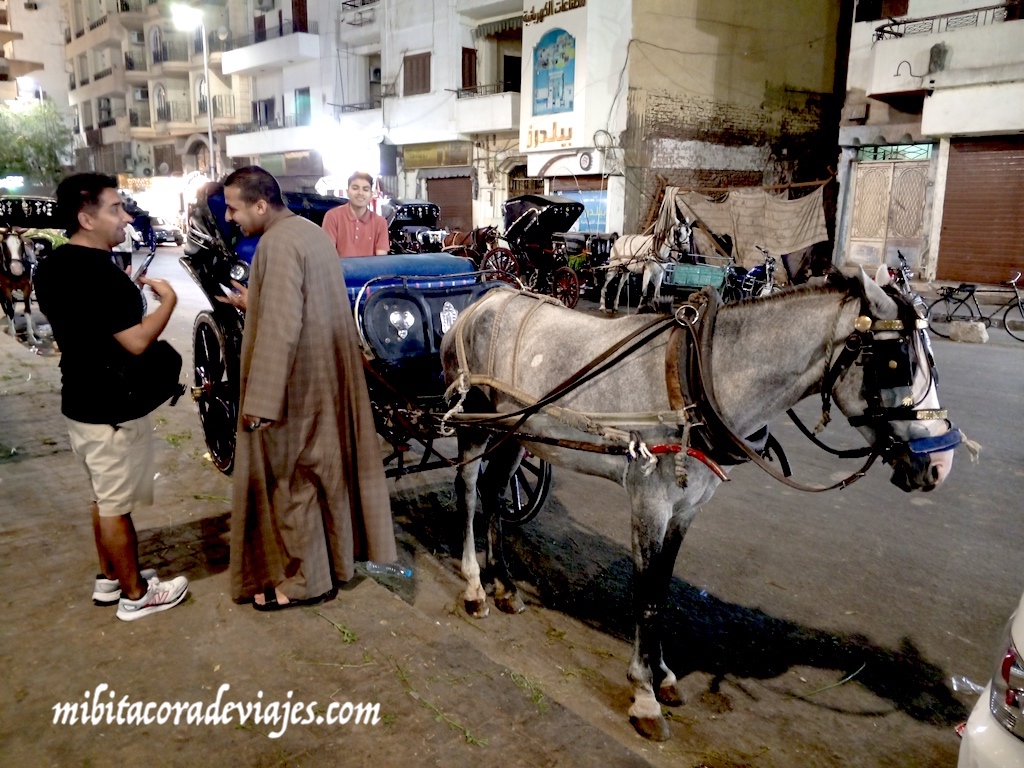 transporte en Egipto apps: Uber, Careem e Indrive