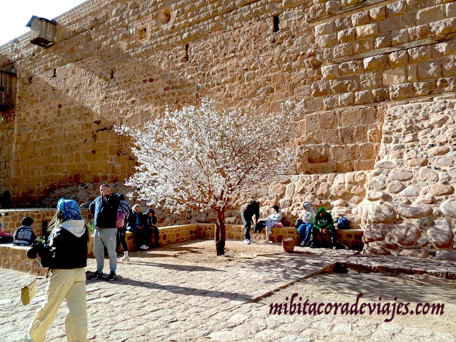 Excursion monte sinai monasterio santa catalina