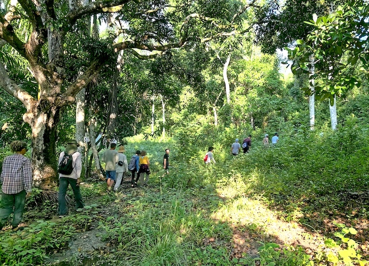 Camping en la Sierra del Rosario Loma del Taburete