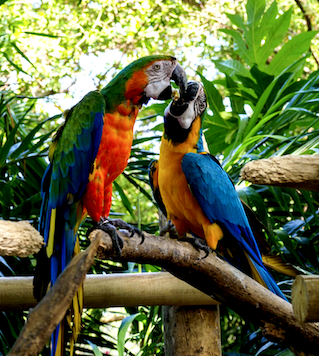 Bogotá Colombia lucioviajero