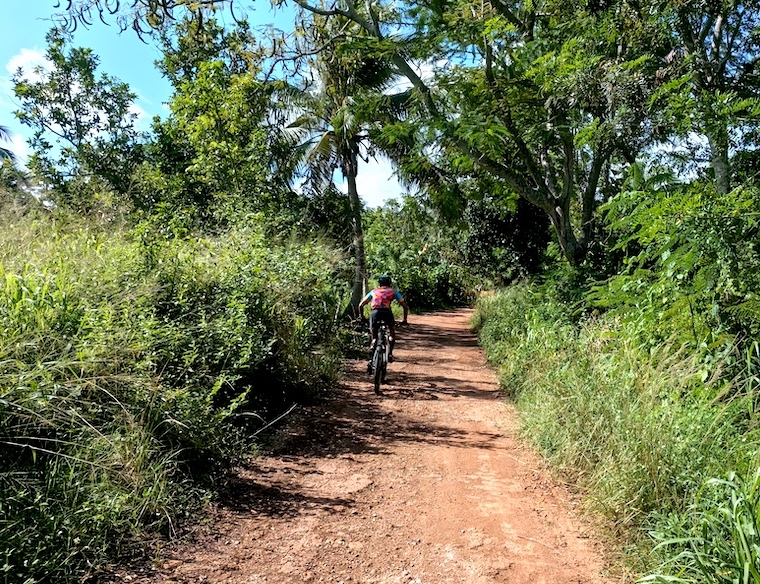 Camino de entrada a excursión a Ojo de Agua, junto al río Ariguanabo, en Cuba